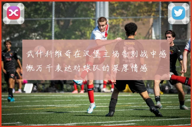 武什科维奇在汉堡主场告别战中感慨万千表达对球队的深厚情感