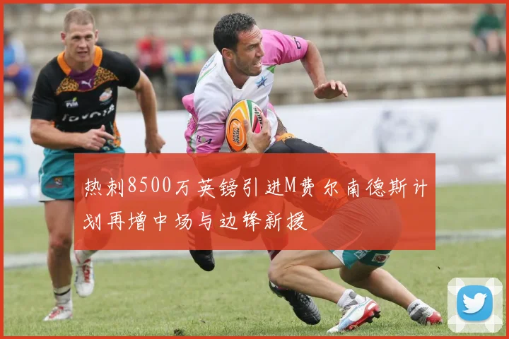 热刺8500万英镑引进M费尔南德斯计划再增中场与边锋新援