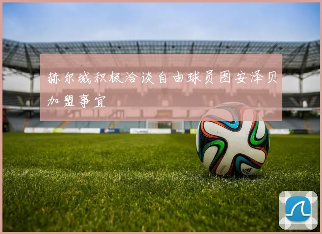 赫尔城积极洽谈自由球员图安泽贝加盟事宜